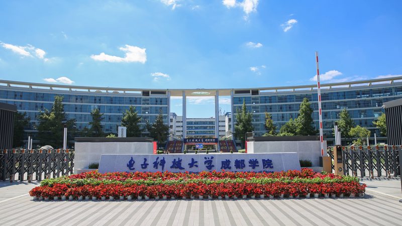 行业背景：国产电子模块市场蓬勃发展