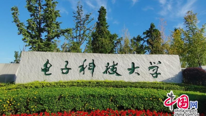 电子科技公司选型：揭秘高效流程步骤**